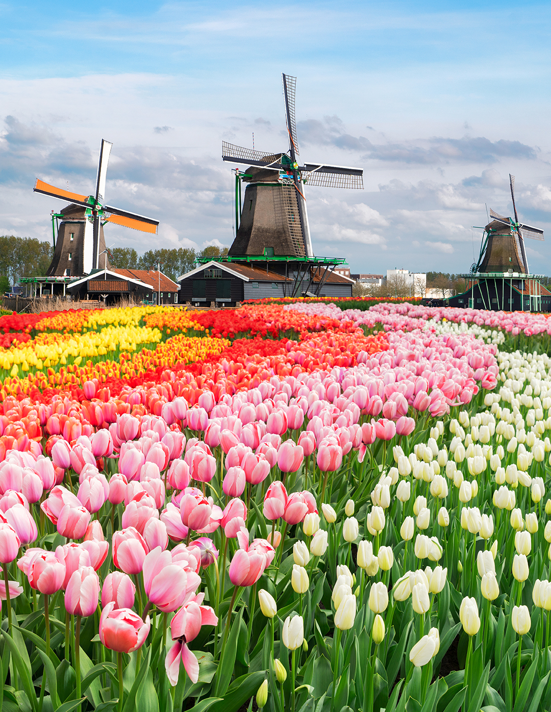 12 July - 10 Days Enchanting Europe Tour tour package
